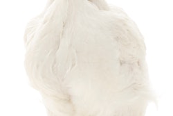 Technologies are advancing rapidly which will have a major impact on the health and welfare of broilers, turkeys and layers.