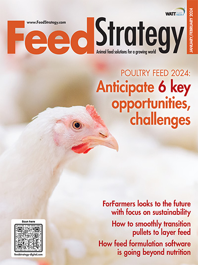 Feed Strategy January/February 2024