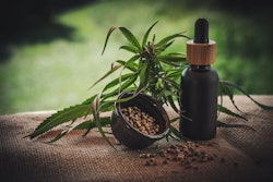 Cbd Hemp Leaves Seeds Cbd Infos Com Pixabay