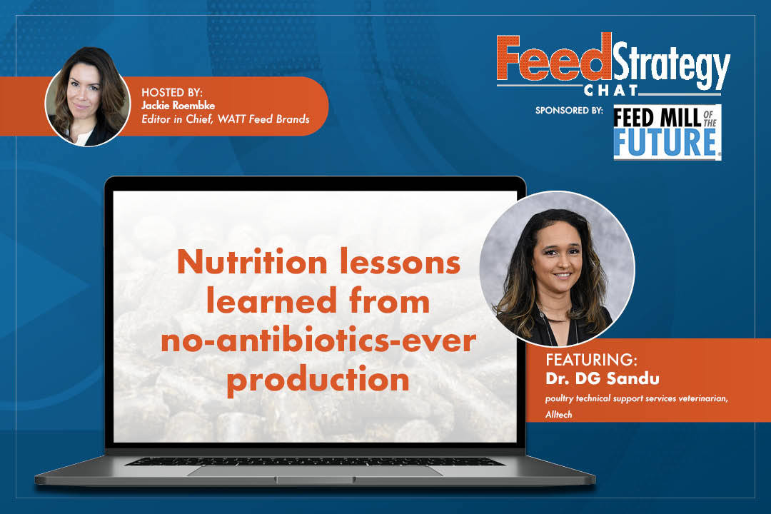 Fs Video Chat Dg Sandu