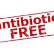 Antibiotic Free Rubber Stamp