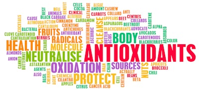 Antioxidants Concept Word Wall