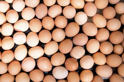 Eggs1