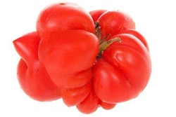 Foods like so-called ugly fruits and vegetables may be upcycled into pet foods and treats, a hot trend these days.