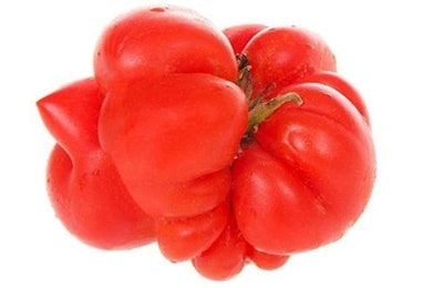 Foods like so-called ugly fruits and vegetables may be upcycled into pet foods and treats, a hot trend these days.