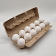 Tekni Plex Fiber Pro Plus Egg Cartons