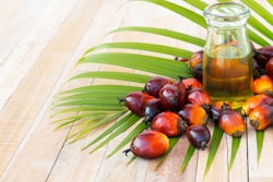 Palm Oil