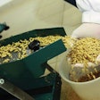 Pellet Feed