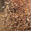 Poultry Feed 1