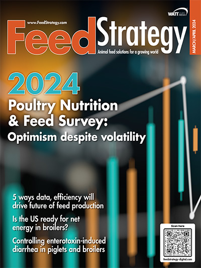 Feed Strategy March/April 2024