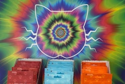 Crack Nip Cat Treats