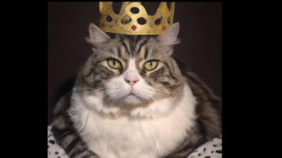 Dall·e 2023 06 14 08 33 35 Cat In Regal Attire Wearing Crown, In Style Of Titian Portrait