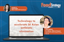 Fs Video Chat Vetworks