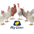 Hy Line International Enhanced Laying Hen Genetics 2024