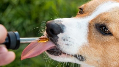 Pet Releaf introduced its first non-hemp-based supplements, including a postbiotic for dogs and cats of all ages and a fish-free Omega 3.