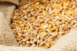 Compound Feed