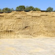 Corn Silage