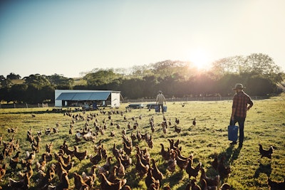 Free Range Farm
