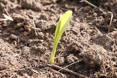 Regenerative agriculture practices include cover cropping, no/low tillage, crop rotation, nutrient management and soil erosion control.