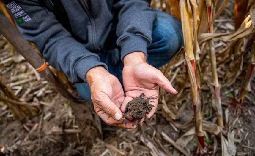 Nestl&eacute; Purina and Cargill are partnering on regenerative agriculture adoption to reduce the carbon footprint of Purina dry pet food products.