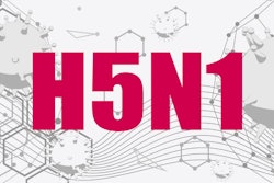 H5 N1