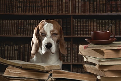 The pet food industry has a lot of catching up to do when it comes to the efficiency of ingredient acceptance regulations and processes.