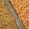 Corn Soybeans
