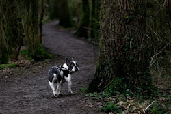 Carnivore Meat Company unveiled the expansion of its sustainability initiatives aimed at significantly reducing its carbon footprint.