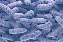 Salmonella And E Coli