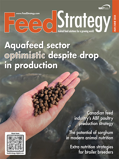 Feed Strategy May/June 2024