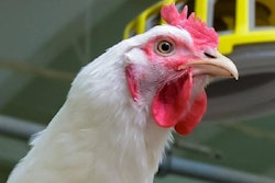 Case Farms Humane