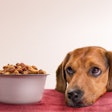 Dog kibble brands continue to grow, alongside and perhaps in spite of novel ingredient and similar trends.