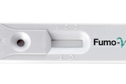 Fumo V One 65e21cea38c9c