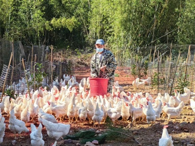 Tudama has committed 90% of company resources to the transition to cage-free egg production.