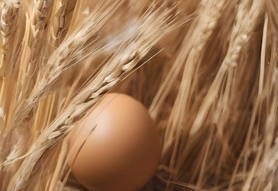 Ukr Land Farming