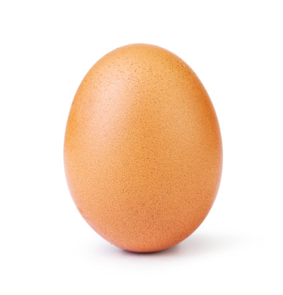 Brown Egg White Bkgrnd
