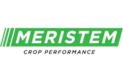 Logo Green Black