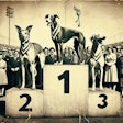 Dall·e 2024 05 10 10 00 30 A 1950s Style Black And White Newspaper Photo Depicting Three Dogs Standing On Winners' Podiums After A Race The Tallest Podium In The Center Holds T