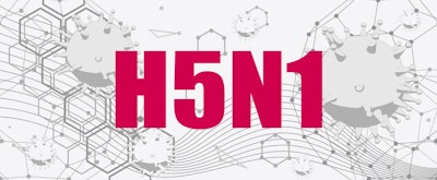 H5 N1