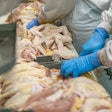 Workers In Poultry Processing Plant