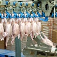 Raw Chicken Processing