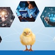 Emerging technologies are enhancing operational efficiency, benefiting poultry businesses, consumer safety and environmental sustainability.