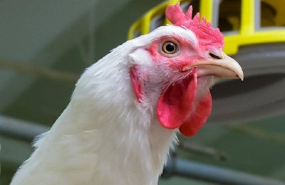 Case Farms Humane