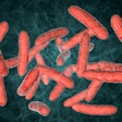 Kateryna Kon Shutter Stock com Probiotic Bacteria Reds