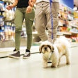 Pet owners treat their pets like family, and with that comes the same conflicts of desire vs. practicality in pet food purchasing that exist in human food purchasing.