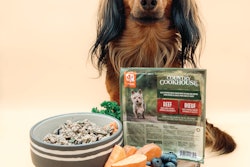 Big Country Raw Beef With Dog