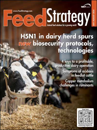 Feed Strategy July/August 2024