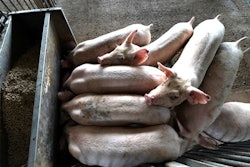 Asf Butler Complex Lm 0369