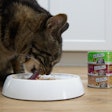Fussie Cat is expanding its Super Premium line of mineral-rich goat milk products with six new puree and three new wet food formulas.