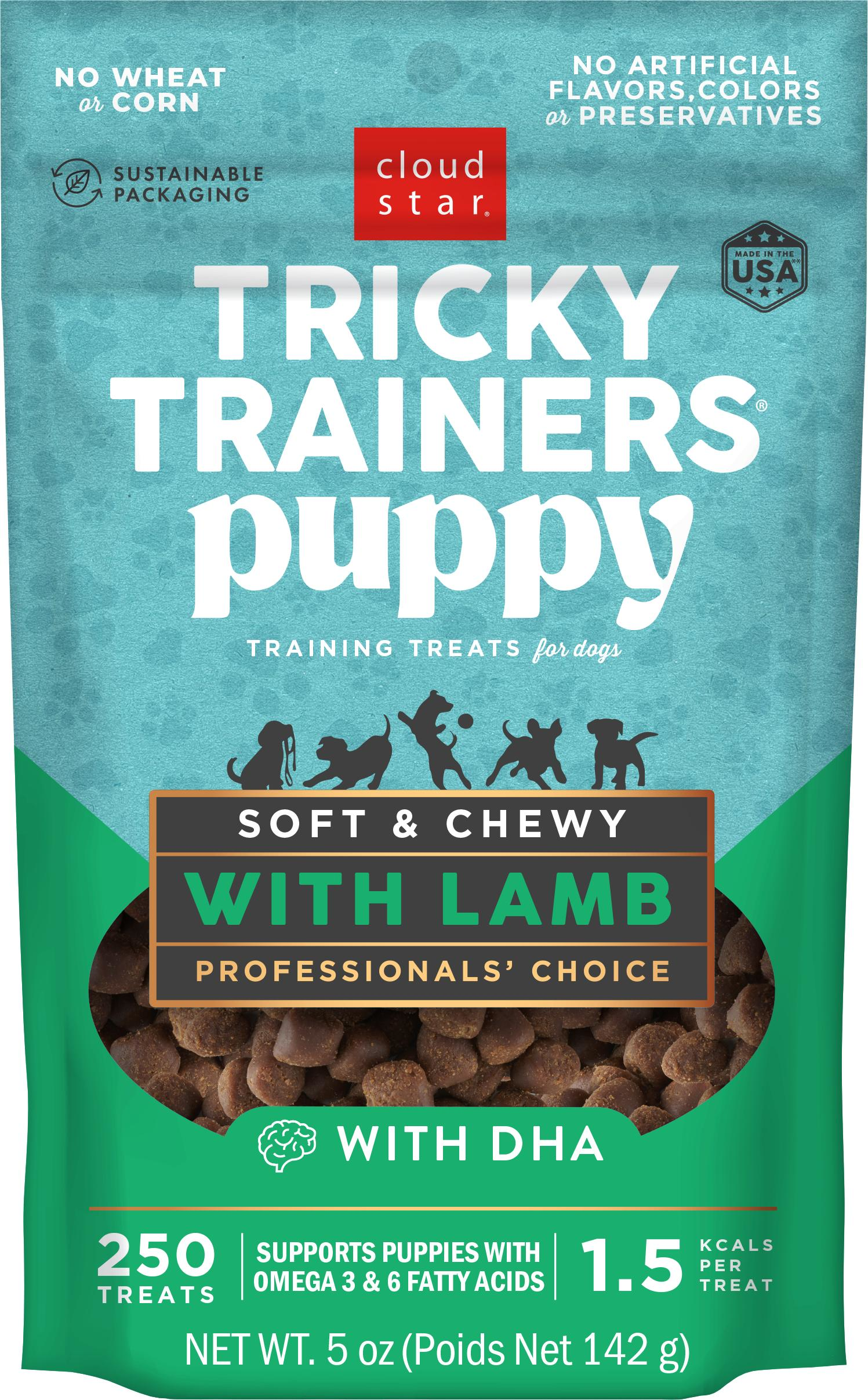 Tricky Trainers Puppy